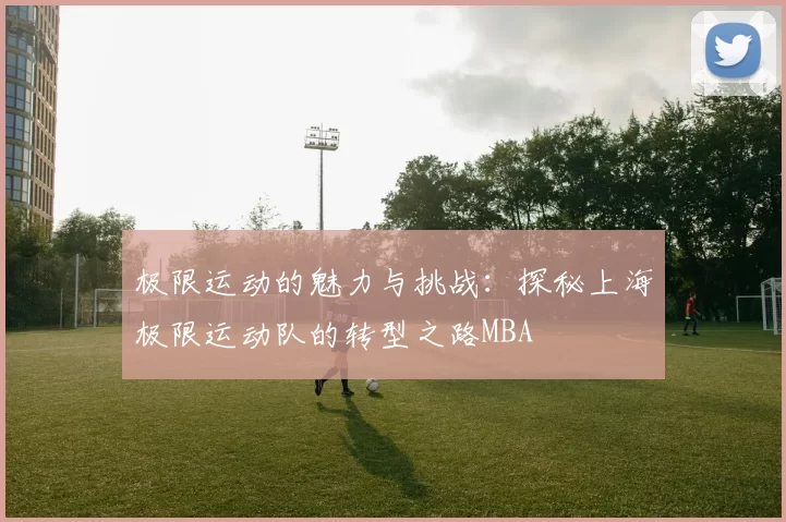 极限运动的魅力与挑战：探秘上海极限运动队的转型之路MBA