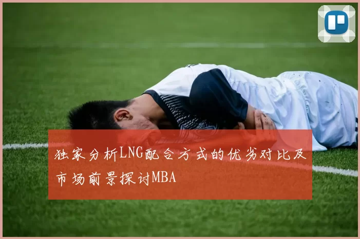 独家分析LNG配合方式的优劣对比及市场前景探讨MBA