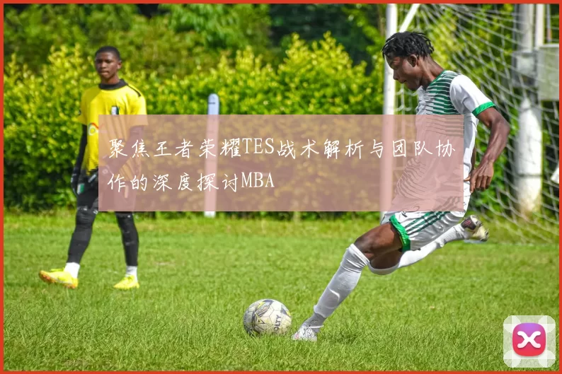 聚焦王者荣耀TES战术解析与团队协作的深度探讨MBA