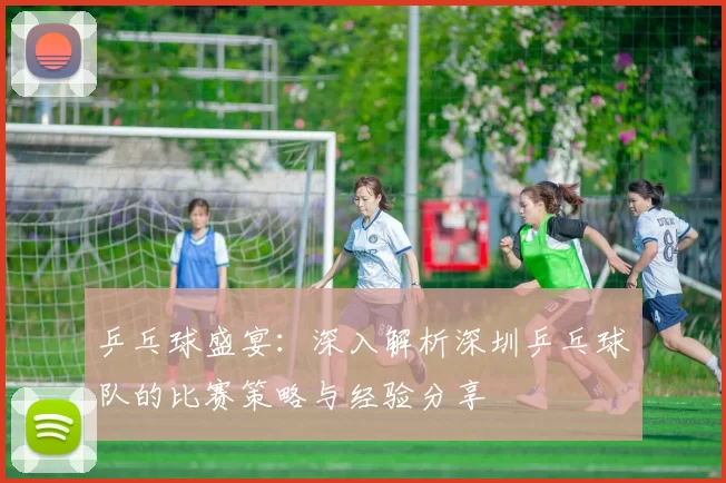 乒乓球盛宴：深入解析深圳乒乓球队的比赛策略与经验分享