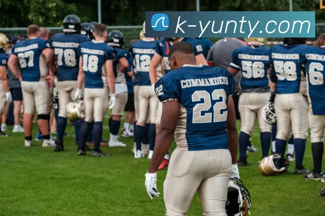 开云官网平台生态图