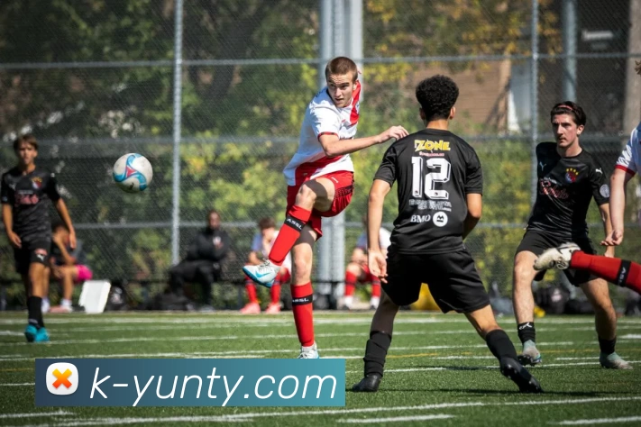 开云官网APP 封面图